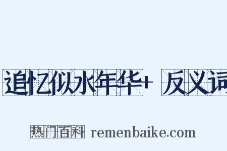 追忆似水年华+反义词是什么意思的图片